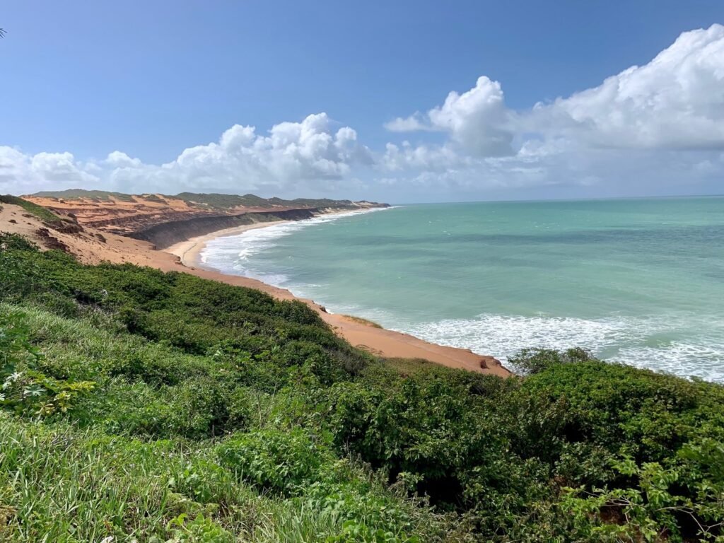 beach to sustentability blog Merola